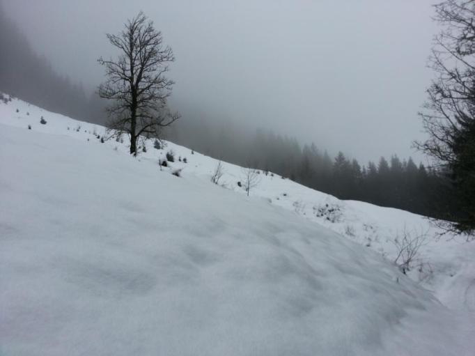 Dichter werdender Talnebel (Foto:hikekarin.com)