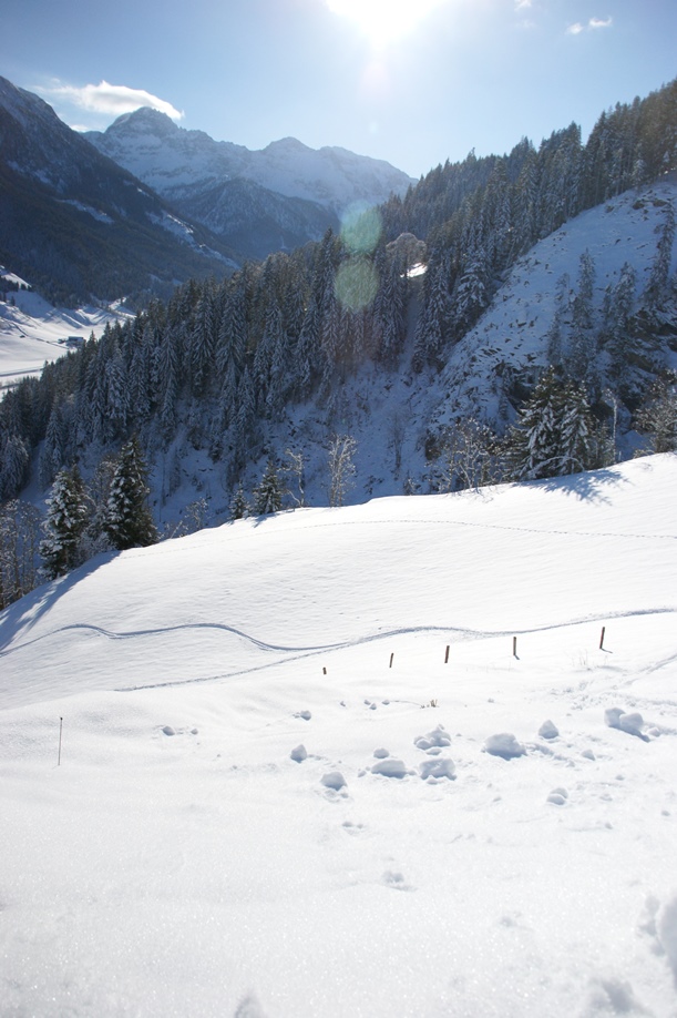 Blick hinunter auf Tourenski- und Schneeschuhspuren (Foto: hikekarin.com)