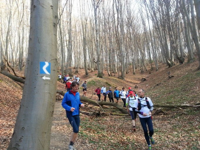 Gemeinsam am Rheinsteig laufen (Foto: Hikekarin.com)