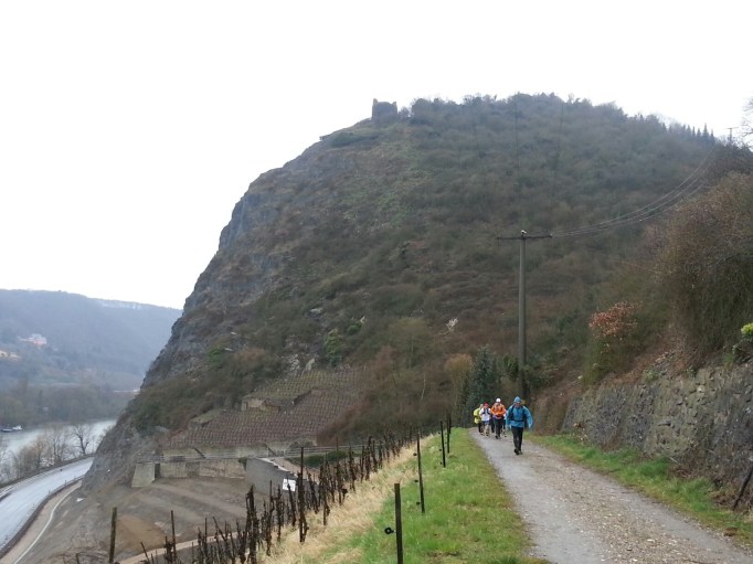 Mal eine gemütliche Strecke- Blick auf die Ruine Hammerstein (Foto: Hikekarin.com)