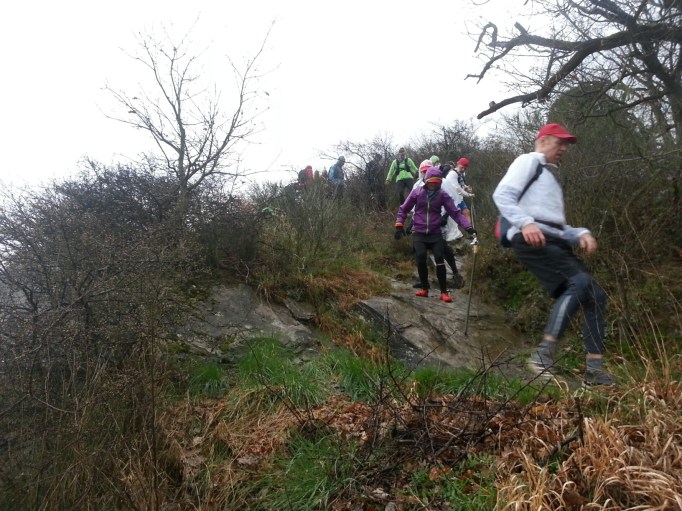 Pfade, Steige, Kletterstellen- typisch Rheinsteig (Foto: Hikekarin.com)