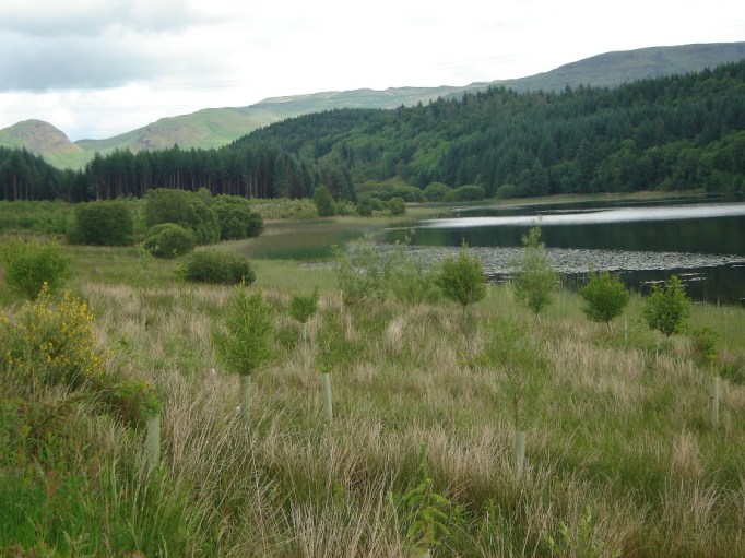 So langsam tauche ich in die Lowlands ein (Foto: Hikekarin.com)