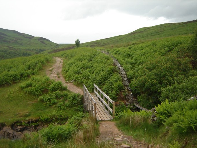 Grün, grün, grün.... das dominiert hier alles! (Foto: Hikekarin.com)