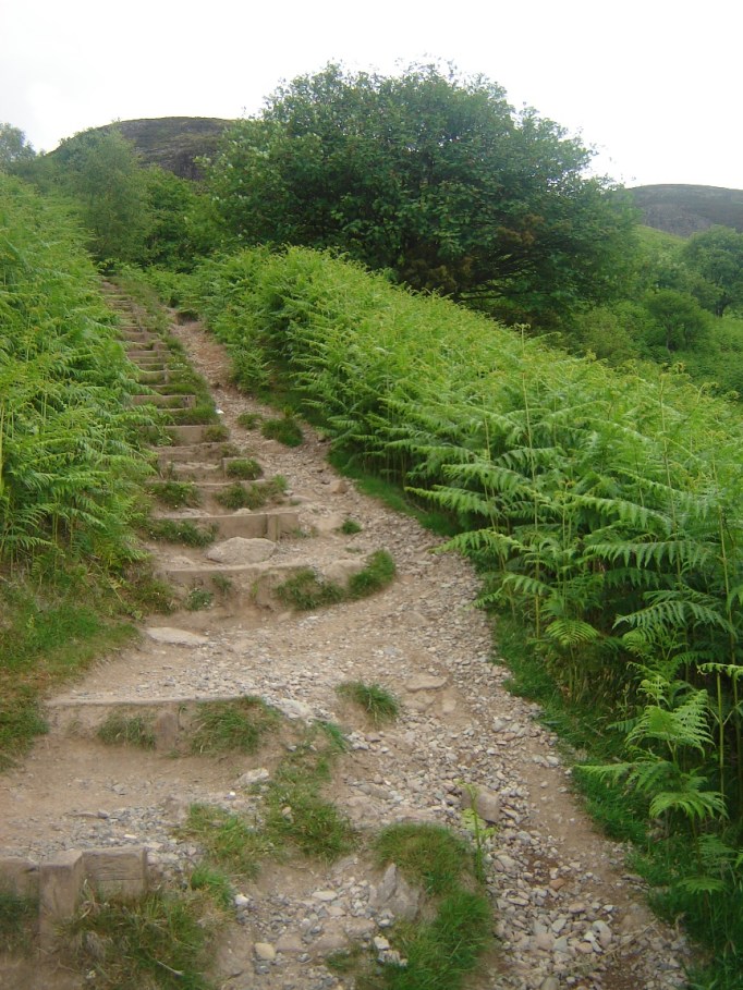 Farne begleiten den Bergpfad hinab zum Loch Lommond (Foto: Hikekkarin.com)