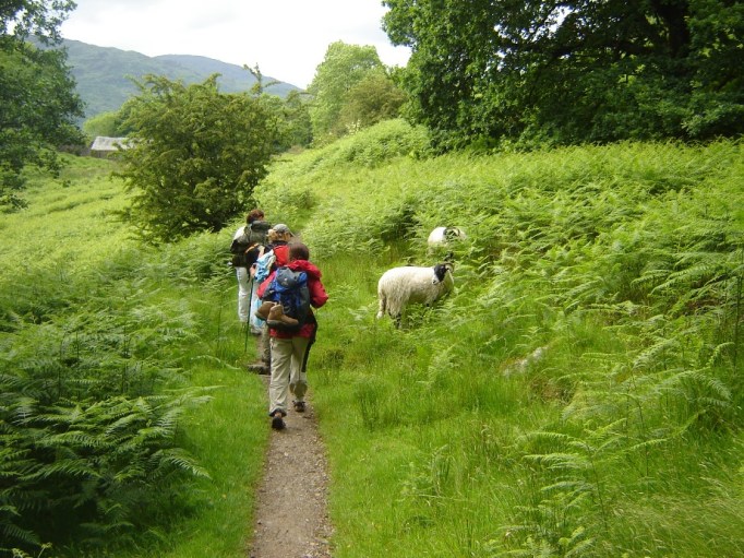 Mensch und Schaf - eine schöne Begegnung (Foto: Hikekarin.com)