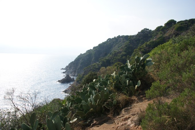 Aussichtsreich - der Camin de Ronda südlich Tossa de Mar (Foto: Hikekarin.com)