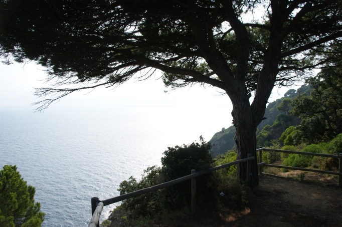 Schattiger Ausssichtspunkt an der Steilküste (Foto: Hikekarin.com)