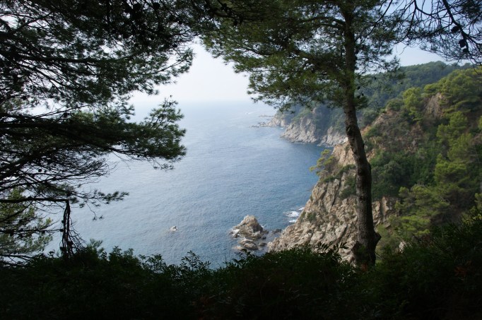 Bewundernswert: Pinienwälder auf den Felsenklippen (Fotot: Hikekarin.com)