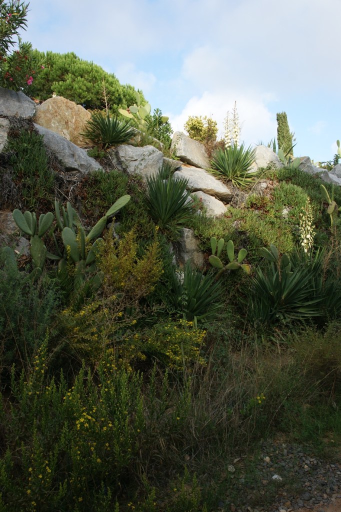 Typische mediterrane Vegetation an den Küstenhängen (Foto: Hikekarin.com)