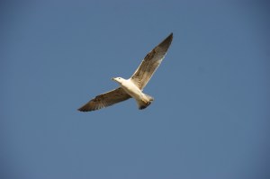 Ausflug zur Côte d´Azur (Foto: Hikekarin.com)