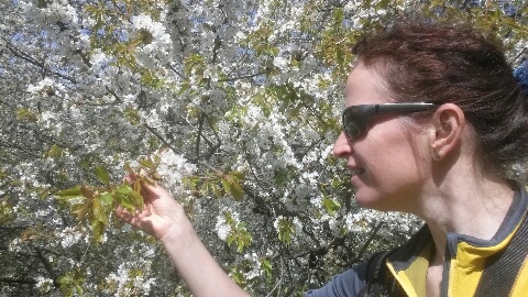 Das duftet! (Foto: Hikekarin.com)