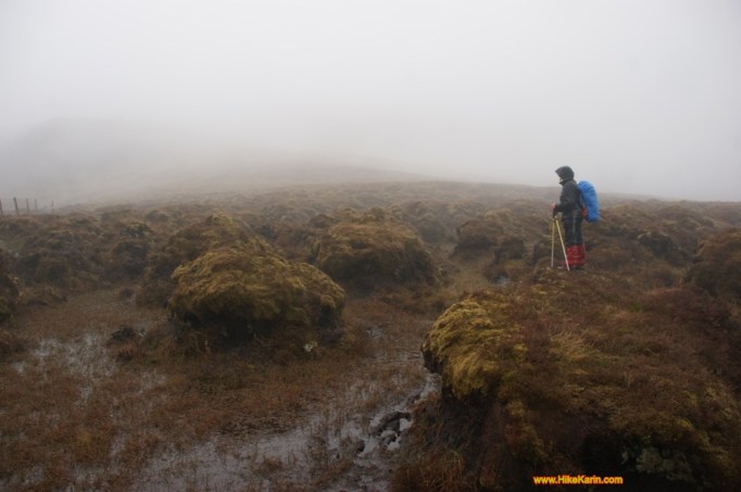 Bogland im Nebel