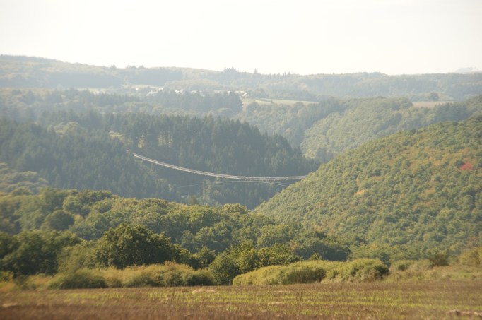 Das Tal mit Geierlay-Brücke von Weitem (Foto: Hikekarin.com)